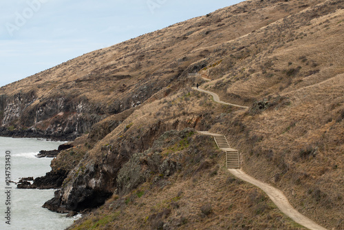 Coastal hiking trail winding through rugged cliffs in New Zealand