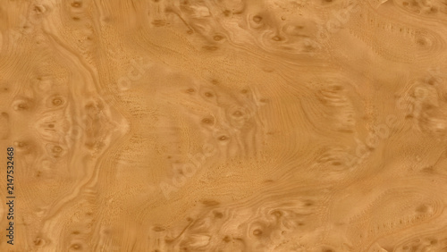 Light brown burl wood surface with swirly organic grain pattern