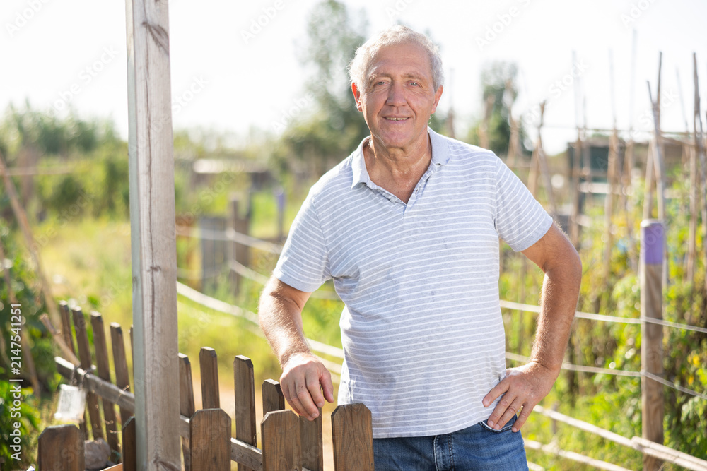 Obraz premium While working on country plot in garden, with cattle, elderly man takes break, stands resting and enjoys country life
