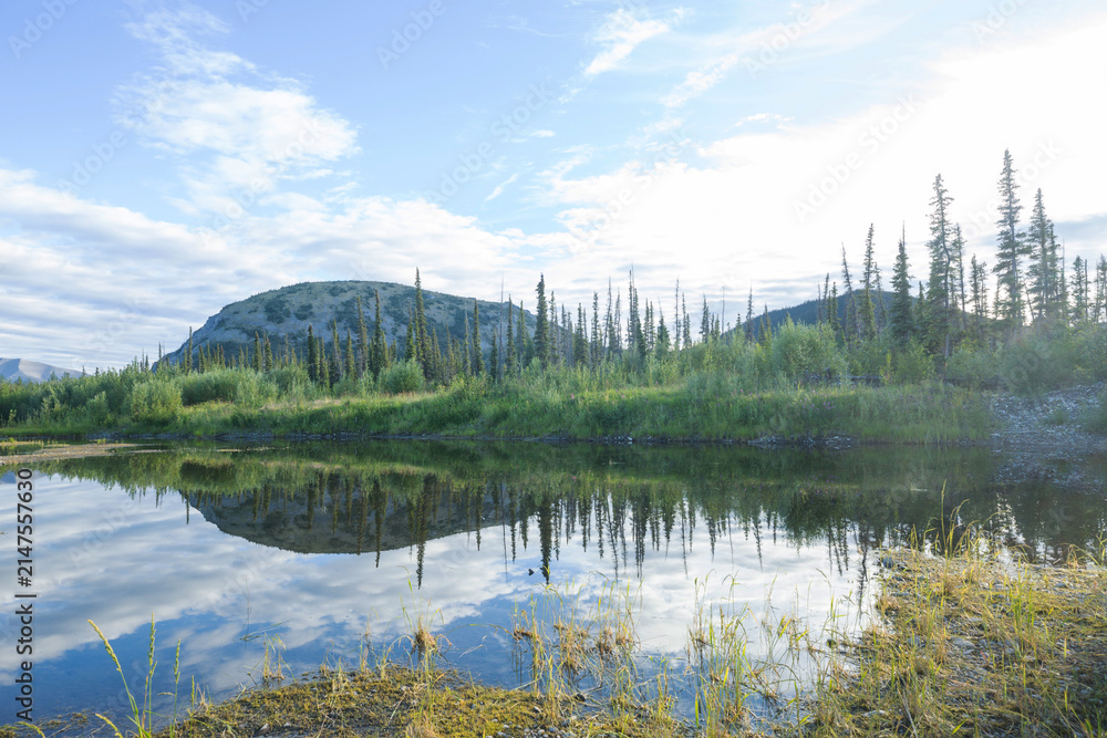 Obraz premium Lake in tundra