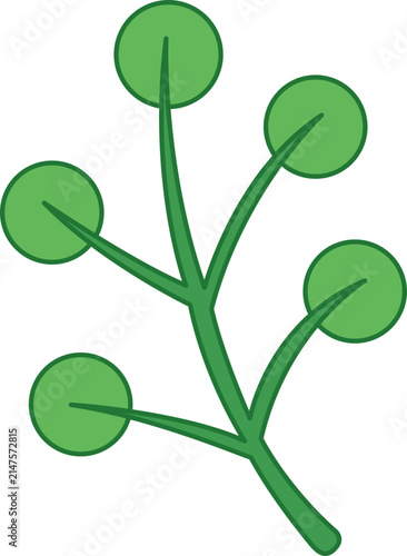leaf branch