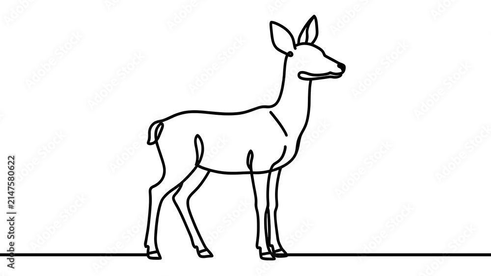Fototapeta premium Simple deer line drawing white background.