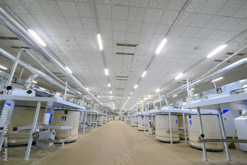 Spacious modern textile spinning workshop