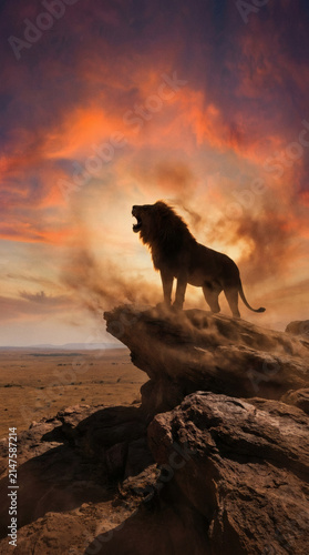 Majestic Lion Roaring at Sunset on Rocky Outcrop