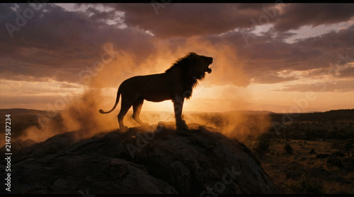 Majestic Lion Roaring at Sunset on Rocky Outcrop