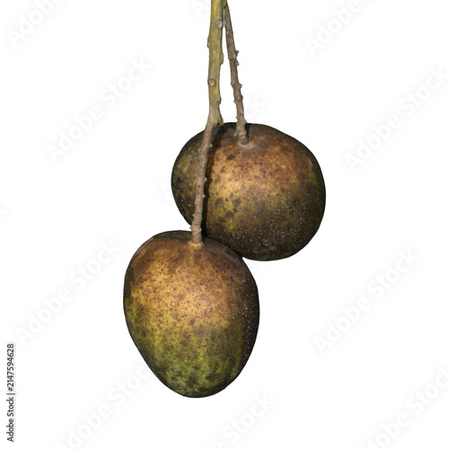 Two ripe amla fruits hanging on a thin stem with dappled sunlight and selective focus in a studio setting