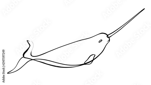 Simple narwhal line drawing white background.