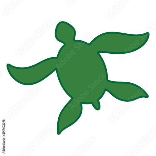 turtle vector illustration