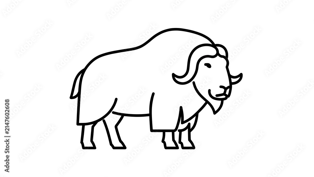 Fototapeta premium Simple black line drawing of a muskox on white background.