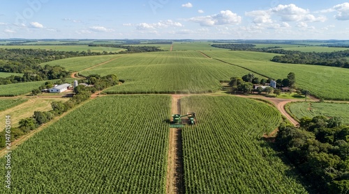 Vast Agricultural Landscape: An expansive aerial view showcases a sprawling sugarcane plantation under a clear blue sky, with farm buildings dotting the horizon.
