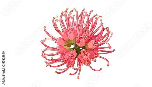 Pink dahlia flower with spiky petals close-up.