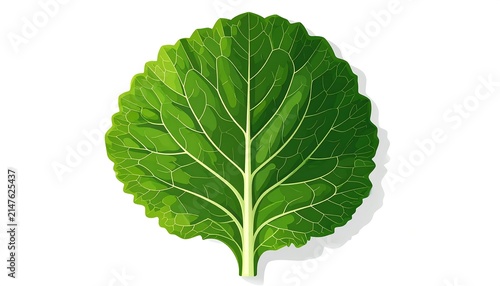 Close-up of a fresh green ivy leaf.