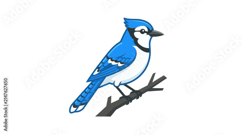 Cute Blue Jay Bird Cartoon Vector Illustration Isolated on White Background