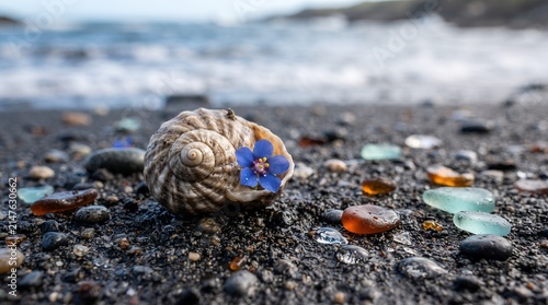 A tiny blue flower peeks from a spiral seashell on a dark sandy beach adorned with vibrant sea glass and pebbles.