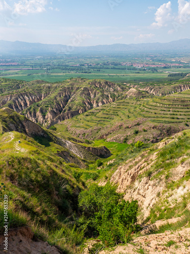 Quadro su tela Vertical view of a deep green ravine descending into eroded clay ridges and terr