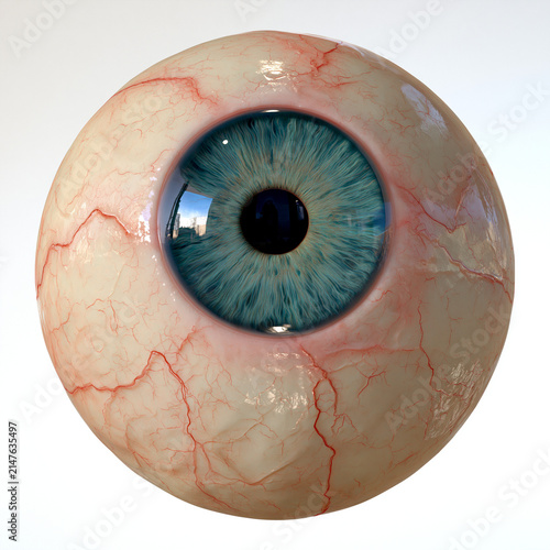 Realistic eyeball blue iris human eye 3d render close up anatomy medical detail macro vein