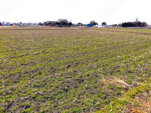 早春の首都圏近郊の耕作された田んぼ風景