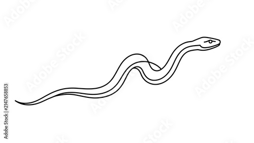 Minimalist snake line art illustration white background.