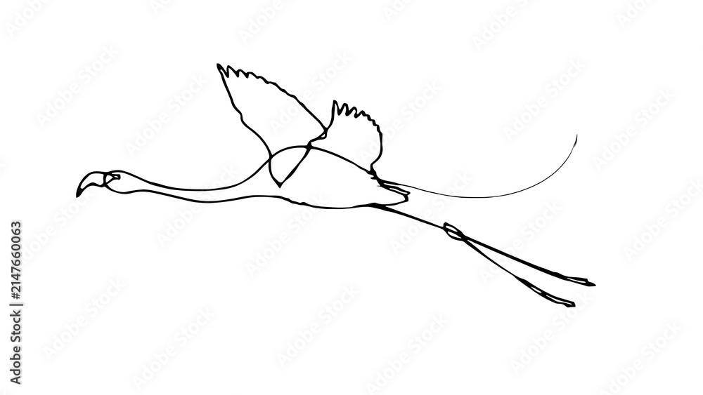 Fototapeta premium Minimalist bird drawing in flight white background.