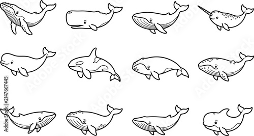 Принти на полотні Collection of Cute Hand-Drawn Whales and Dolphins: Vector Set