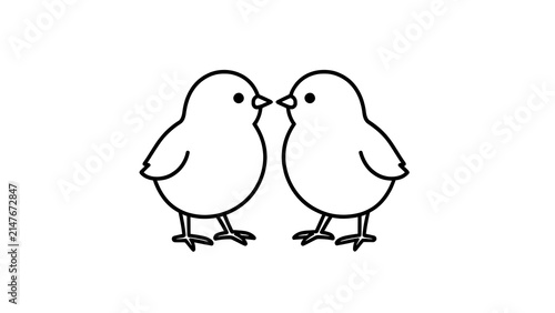 Two cute chicks kissing on white background.