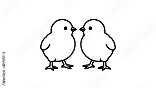 Two cute chicks kissing on white background.