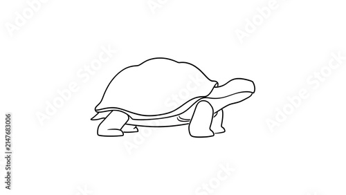 Simple turtle line drawing on white background.