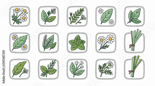 Herbal Tea Ingredients Collection - Hand Drawn Botanical Icons