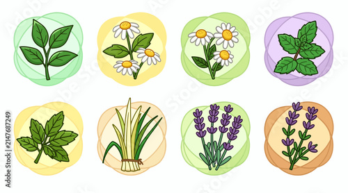 herbs and flowers icons set