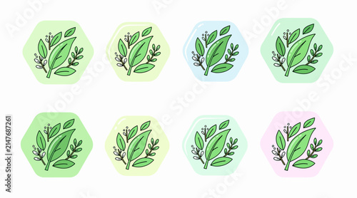 herbs leaf icons set
