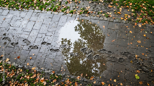 Muddy footprints and a reflective rain puddle on a textured paved path with fallen autumn leaves