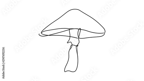 Simple line art mushroom illustration white background.