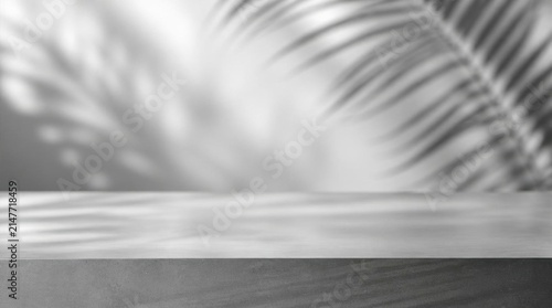 Shadows of Palm Fronds Over Water Surface by Pool