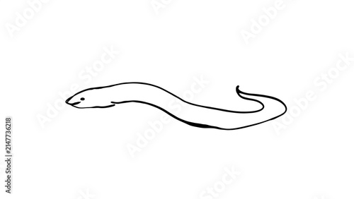 Simple black line drawing of a snake white background.