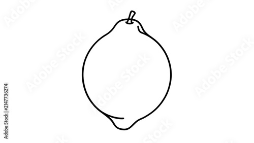 Simple line art pear illustration white background.