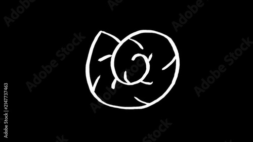 Seashell hand drawn animation, animated sea shell motion graphic illustration, ocean marine snail spiral fossil line art sketch doodle loop clip art design