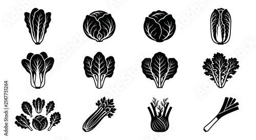 Set of black and white icons featuring various leafy green vegetables.