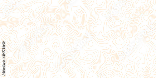 Cuadro en lienzo Golden abstract topographic contour lines pattern with topographic abstract back