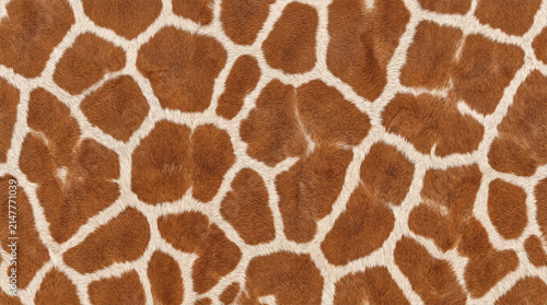 Giraffe fur coat pattern with irregular patches