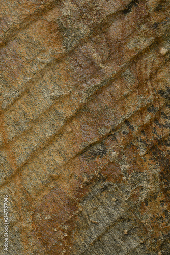 Bild auf Leinwand Rough textured natural sandstone background with warm earthy tones and chiseled linear pattern, distinct chiseled parallel ridges, vertical image