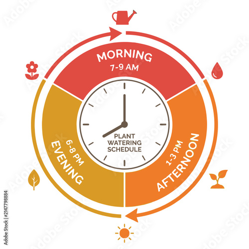 Clock face diagram showing plant watering schedule daily.