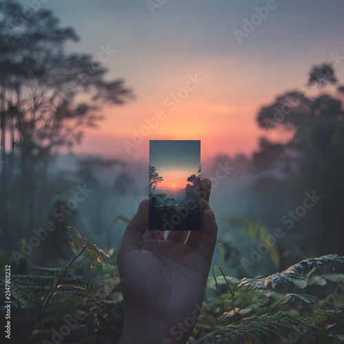 Smartphone sunset composition in wildflower field during golden hour picture