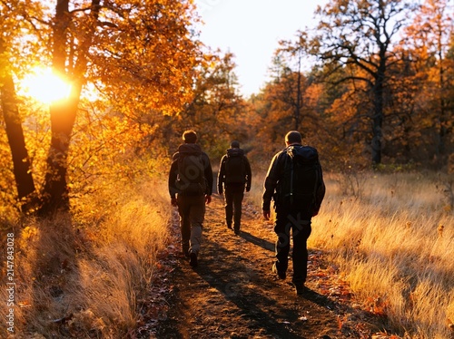 Hiking group of three hikers on a golden autumn forest trail at sunset adventure