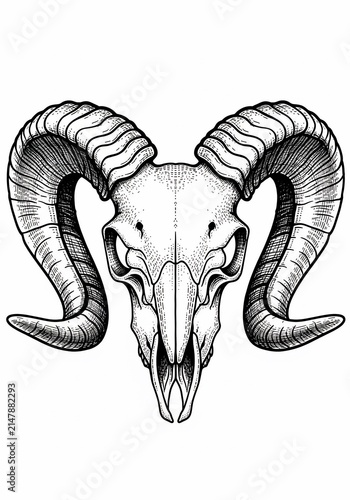 Ram's Horn Reverie: A Skeletal Whisper