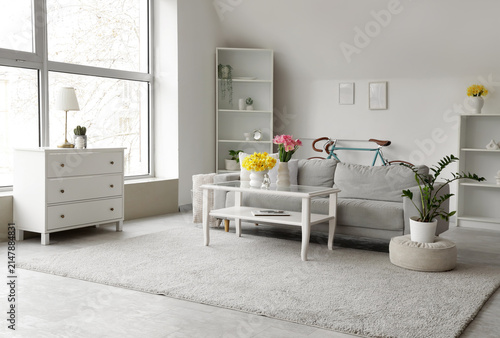 Interior of light living ro...
