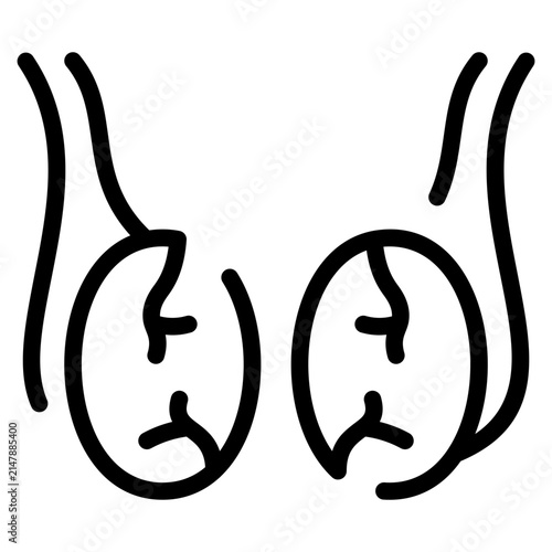 Bild auf Leinwand Testicle