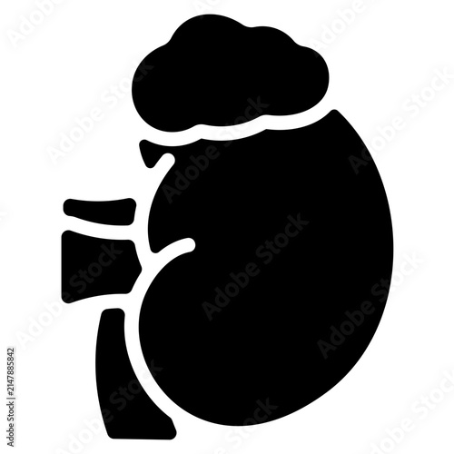 Adrenal Gland