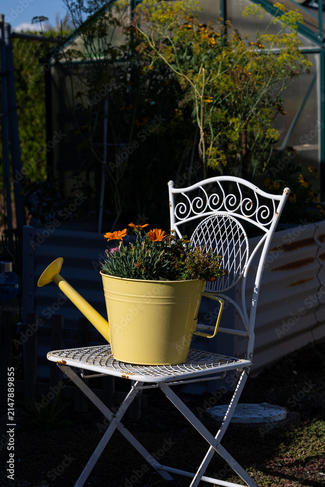 Fototapeta premium Yellow Watering Can on White Garden Chair in a Cottage Garden