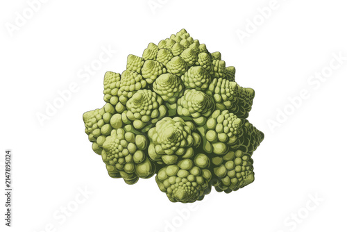 Fresh Romanesco broccoli isolated on transparent. Green fractal vegetable for healthy diet menus.