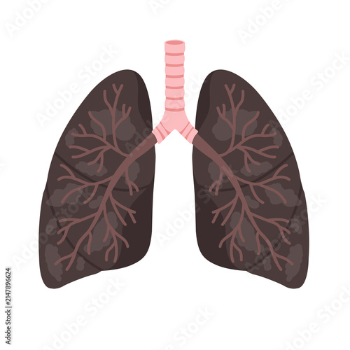 Foto Unhealthy human lungs diseased by smoking or respiratory illness